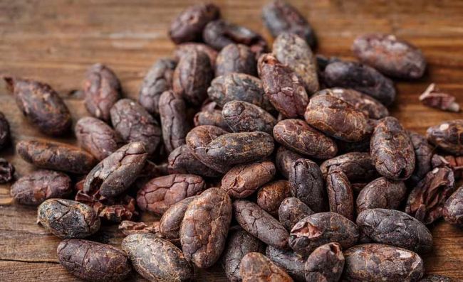 granos-cacao