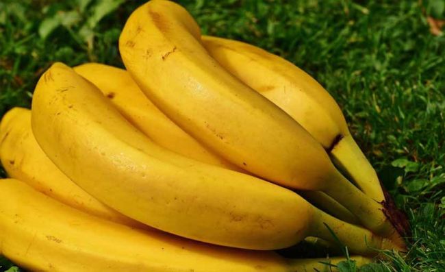 manojo-platanos-maduros