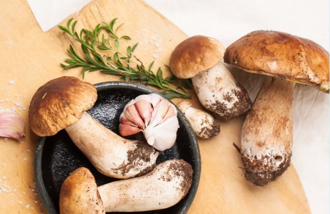 hongos-champiniones