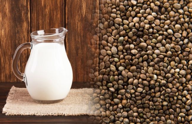 leche-semillas-hemp