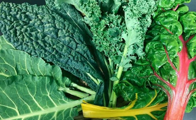 hojas-verdes-kale-acelga-espinaca-remolacha