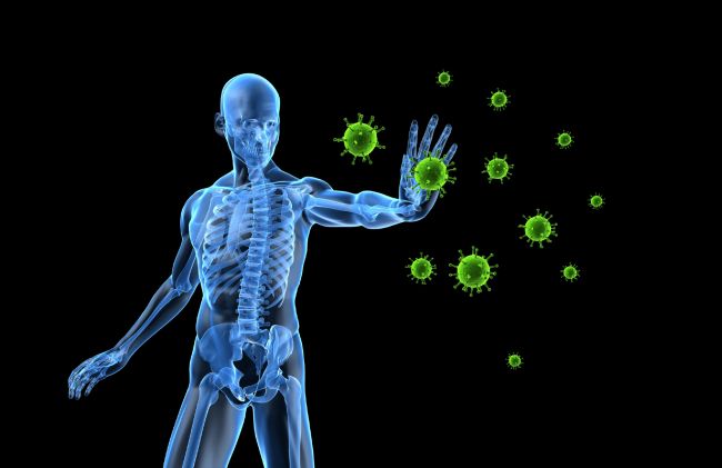 sistema-inmune