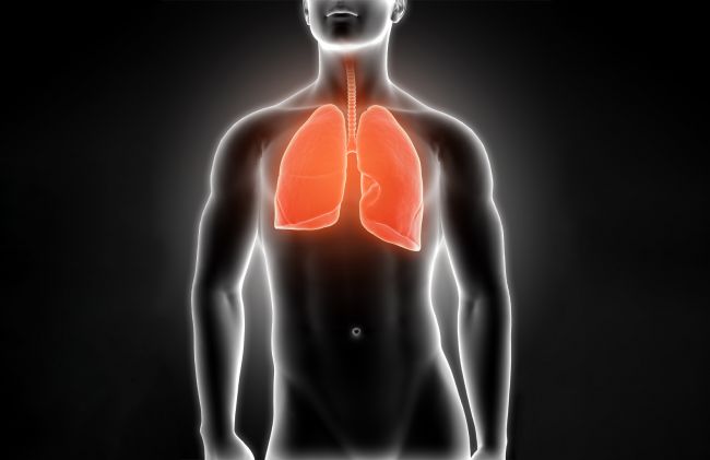 pulmones-cuerpo