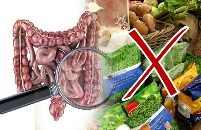 intestinos-cruz-roja