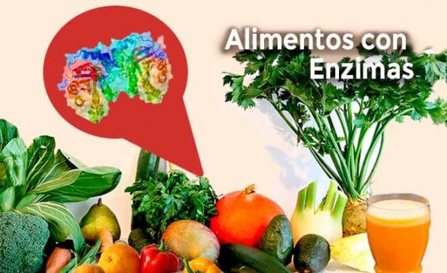 vegetales-hoja-brocoli-zanahoria-hinojo-piña-pera-granada-palta-pimiento-infusion