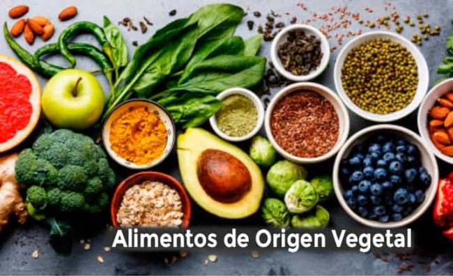 toronja-almendras-vegetales-hoja-palta-repollitos-avena-especies-arandanos-