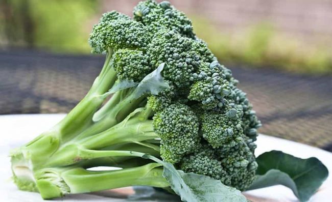 flor-brocoli