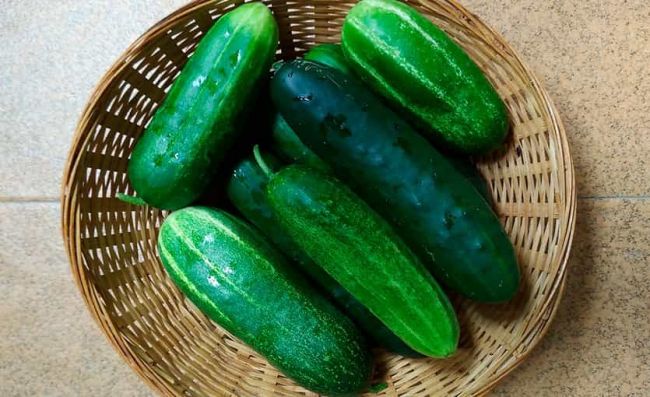 pepinillo-cascara-verde