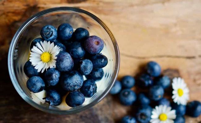 bowl-arandanos-frescos