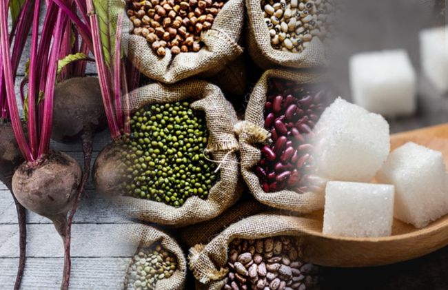 remolachas-granos-azucar