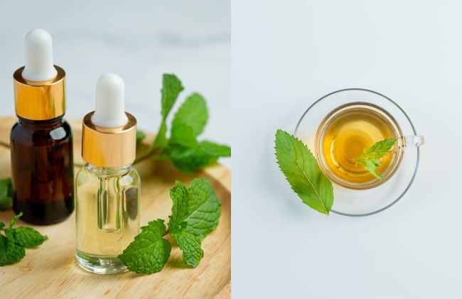 aceite-menta-te