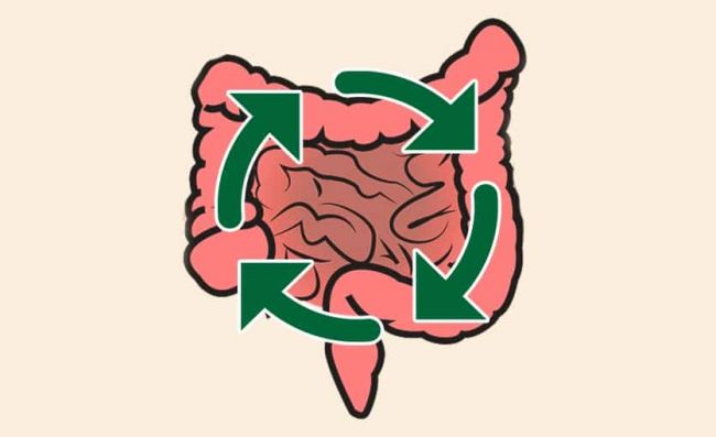 beneficios-de-la-chia-acelera-transito-intestinal