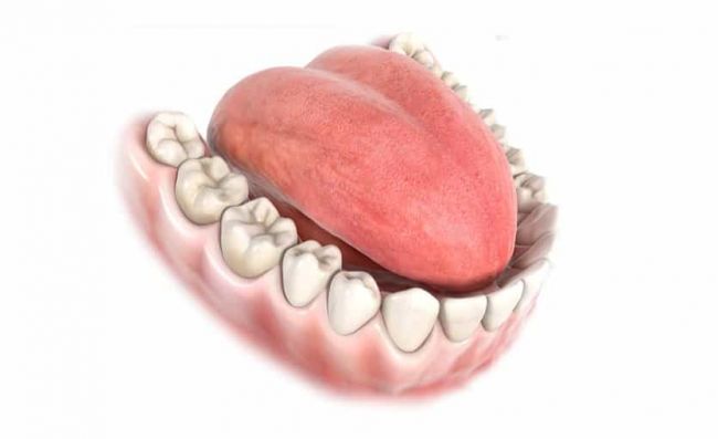 boca-dientes-buena-salud