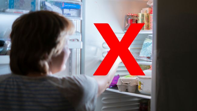 mujer-heladera-tachada