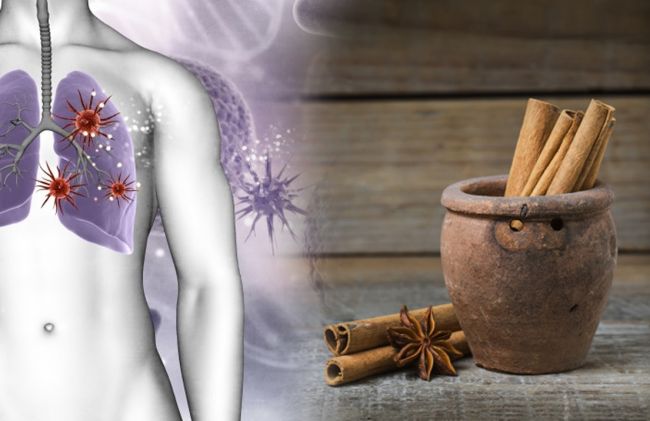 celulas-cancer-canela