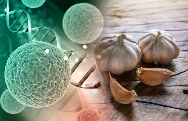 celulas-cancer-ajo