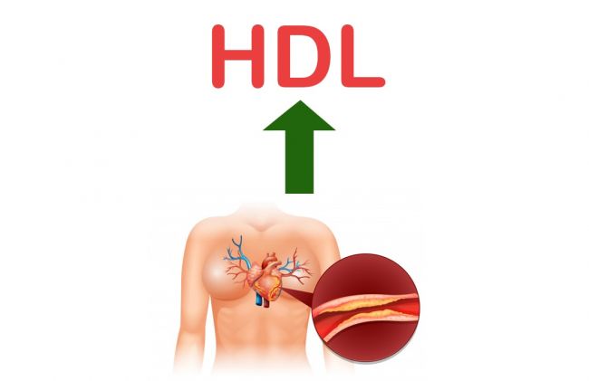 colesterol-flecha-arriba