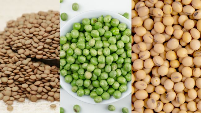 lentenjas-arvejas-soja