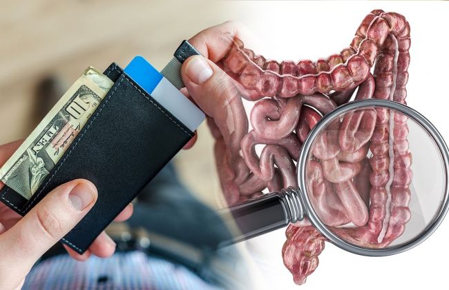 dinero-intestino