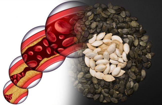 arterias-semillas-caniamo