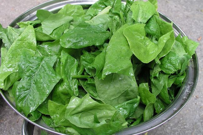 espinaca-fresca