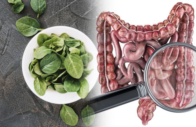 espinaca-intestino