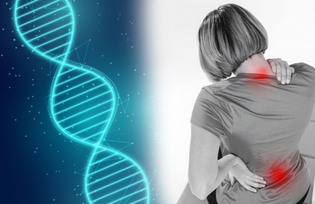 genes-dolor-cintura-hombros