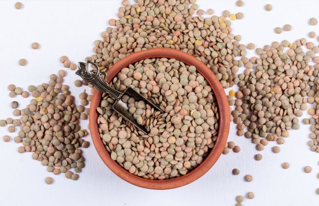 lentejas-pote