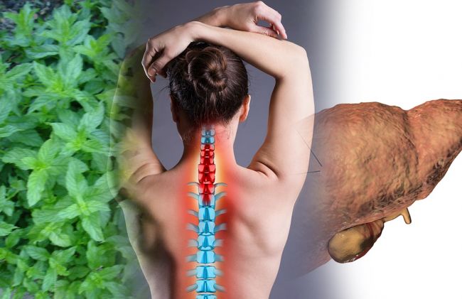 hierba-buena-columna-mujer