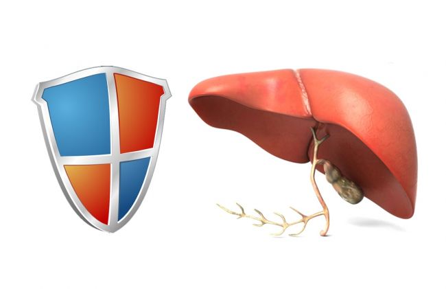 higado-con-escudo