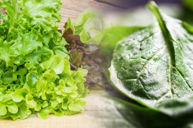 hojas-verdes-crudas