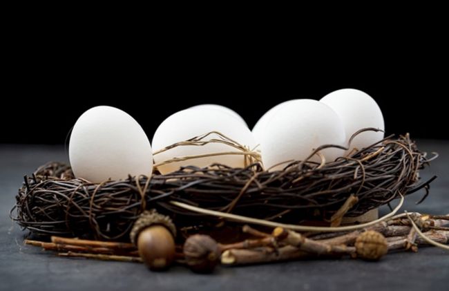 huevo-gallina-blanco