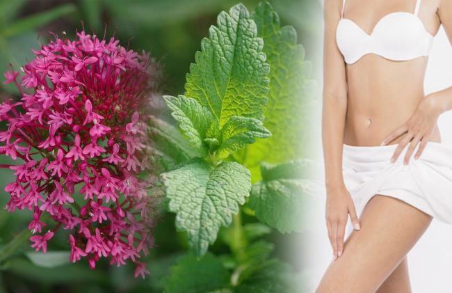 melisa-valeriana-cuerpo-mujer