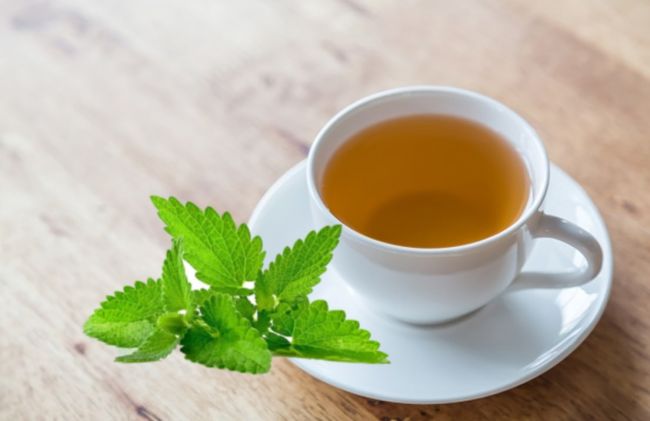 infusion-hierba-buena