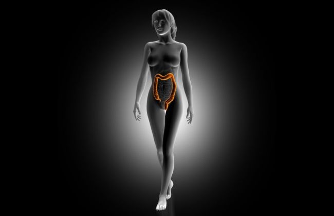 intestino-mujer