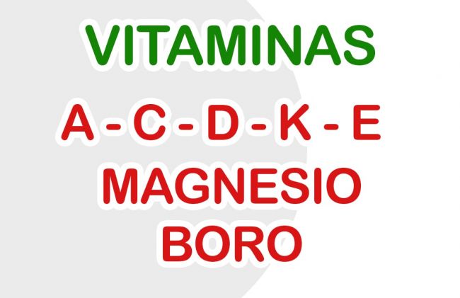 vitaminas-minerales