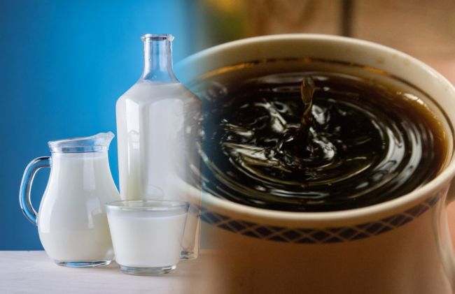 lacteos-te-negro