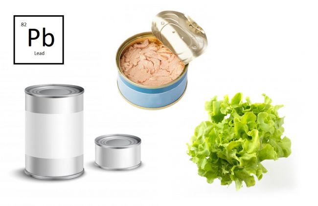 latas-pescado-lechuga