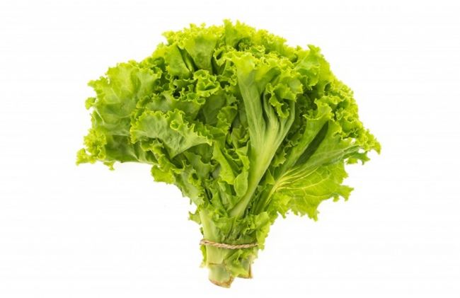 lechuga-verde