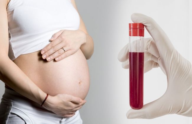mujer-embarazada-tubo-ensayo
