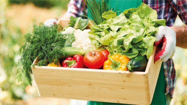 cajon-vegetales-frutas