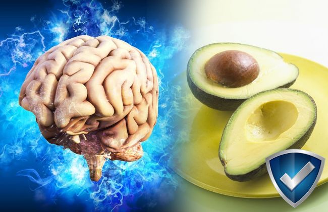 cerebro-escudo-palta