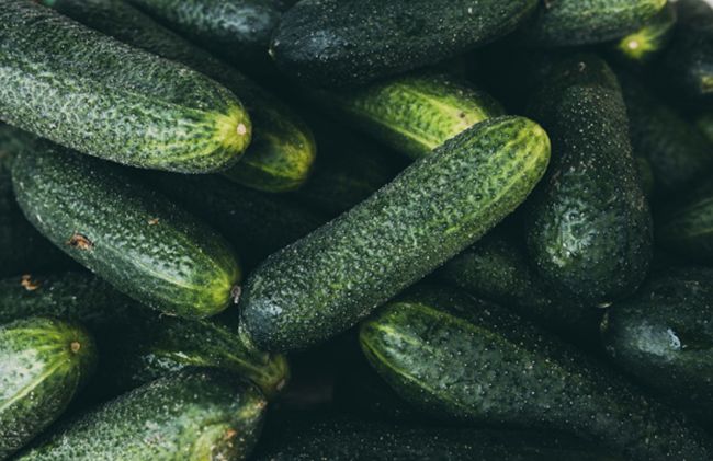 pepinos-largos