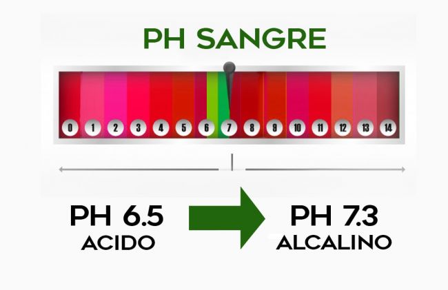 ph-sangre
