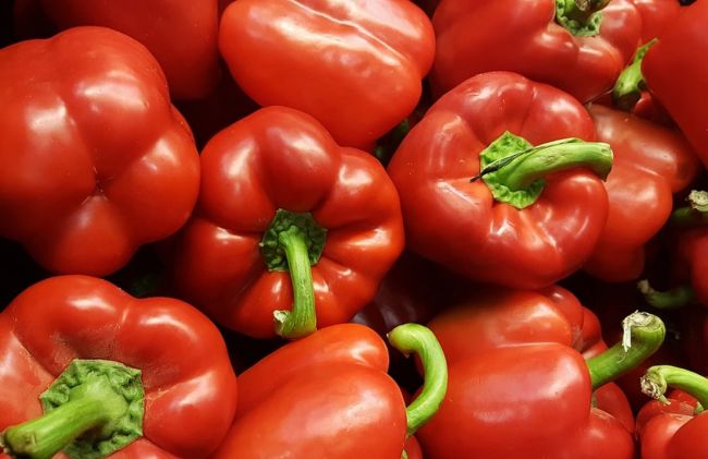 pimiento-rojo