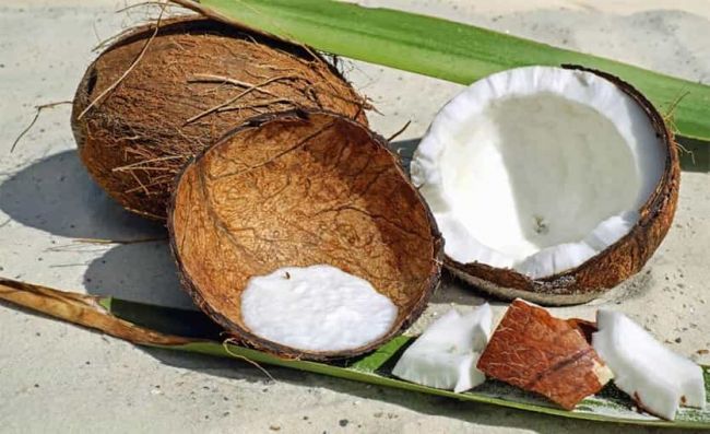 coco-partido-pulpa-agua