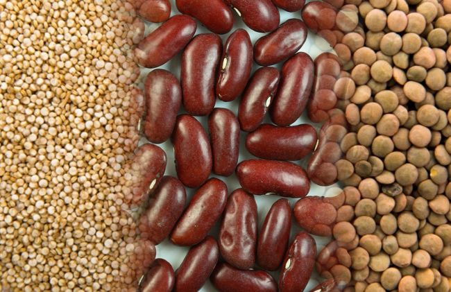 quinoa-porotos-rojos-lentejas