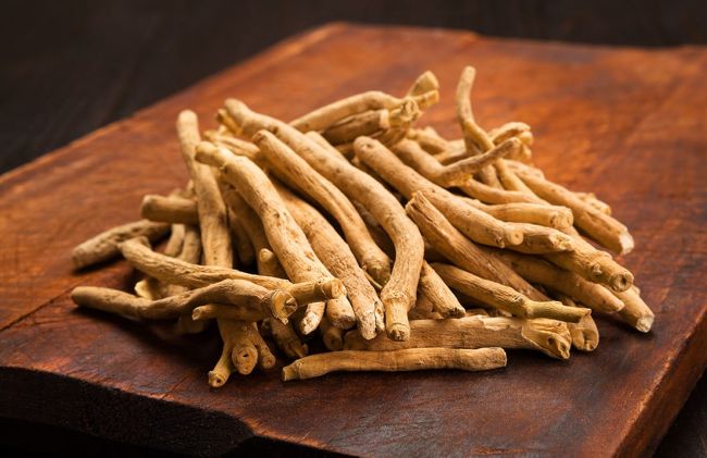 raiz-aswagandha