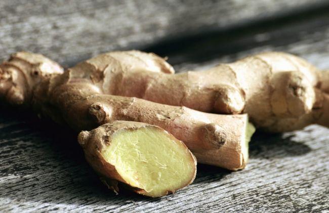 raiz-jengibre