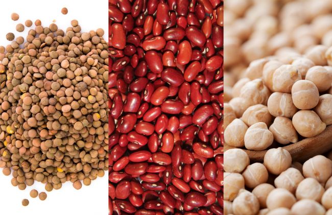 lentejas-porotos-garbanzos